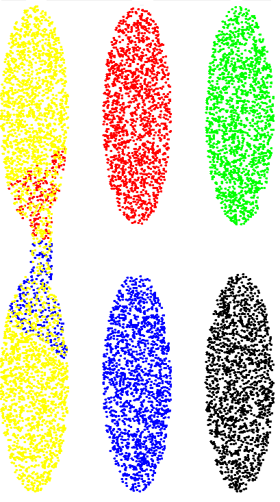 Figure 30